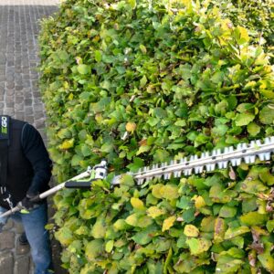 EGO HTA2000 accu stokheggenschaar t.b.v. multi-tool – afbeelding 6